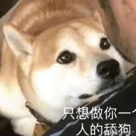 我开始怕了表情包舔狗