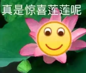 传说之下小羊表情包暴雨