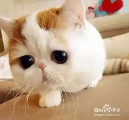 草地养动物表情包趣味动