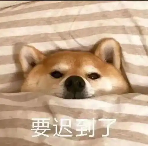 舔狗图片表情包恶臭女孩