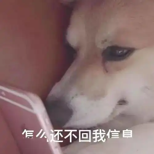  时隔16年让周杰伦宠妻人设崩塌,侯佩岑凭什么在直男眼里这么有魅力