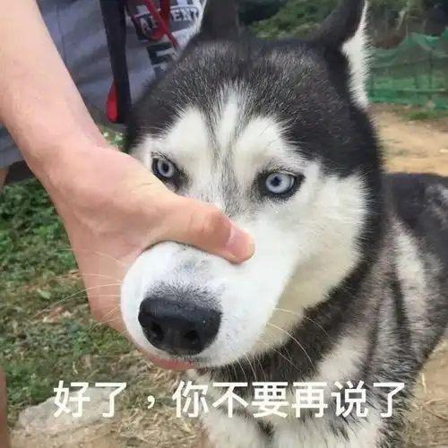  出国留学,千万别被这些黑话绕出圈子