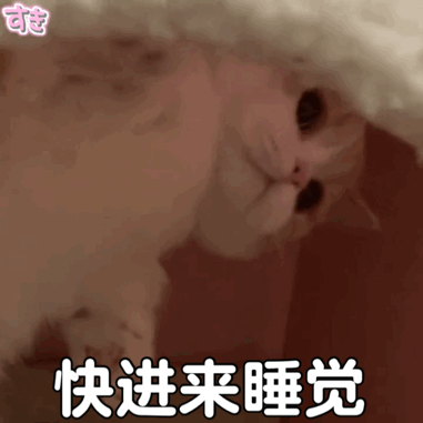  表情包,人在一无所有的时候,最清醒