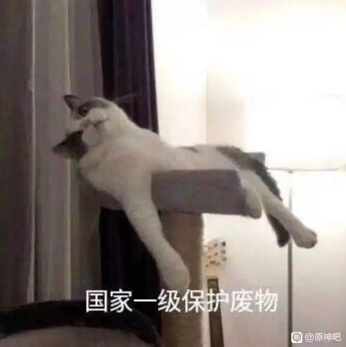  关于公务员