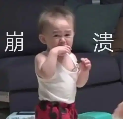  表情包崩溃