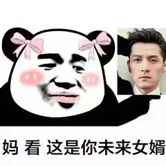 龙图表情包杀妈小仙女