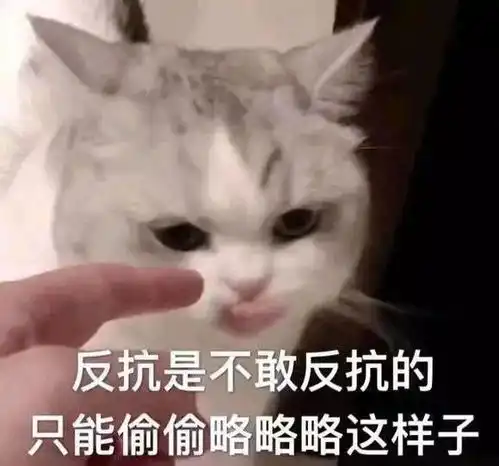  沙雕表情包合集照目前这个形式来看,我应该是失宠了