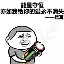  六旬太婆为躲债整成少妇,一年多消费388万就是不还钱