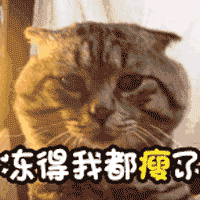  最低5大寒潮台风杀到广东茂名元旦要冻哭了...