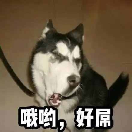  近期买到最满意的10样东西,超级值
