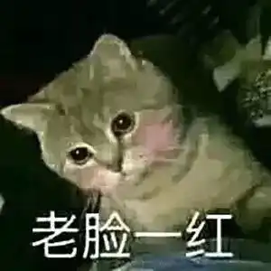  首付预算20万,在德阳买郊区新房还是城中心老破小
