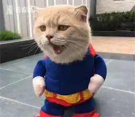  视频厉害越南这只叫狗的猫是整片菜市场的王