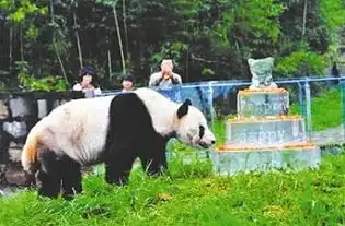  社会新闻