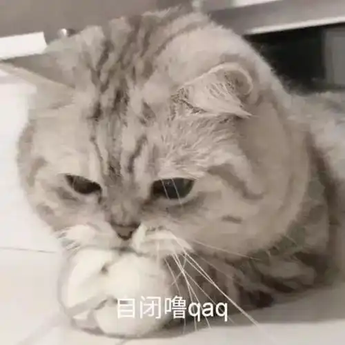  微信新添颜艺大秀