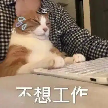 可爱表情包又更新了