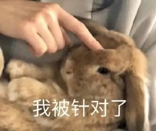  那个05后都怀孕了omg...那些你曾经深信不疑的世界观要崩塌了