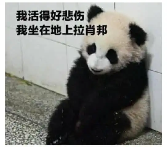  虽然没有赚到钱,但我会省钱fl00929