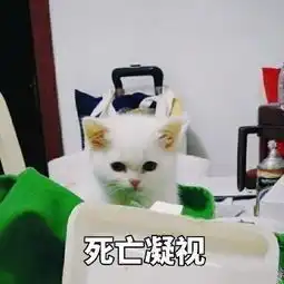  萌宠表情包下线了,有事打钱