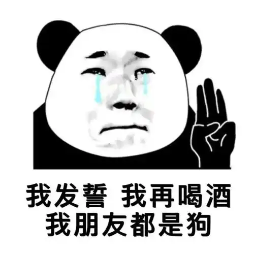  表情包我发誓