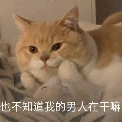  亲身体验女生有男朋友后才发现的事