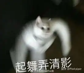  怎么看待防弹mapofthesoulpersona此次回归成绩