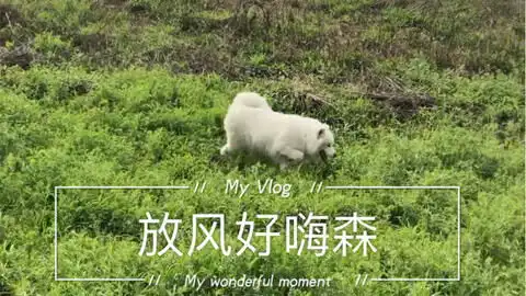  抖音搬运简单几个小动作日常健康养生