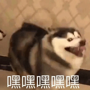  今日份沙雕表情包多喝热水少发骚
