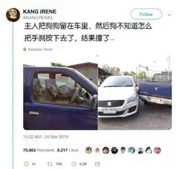  论头发的重要性
