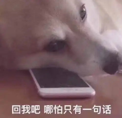  人民日报声援舔狗扎心了,我用半年真心,换你一句渣男