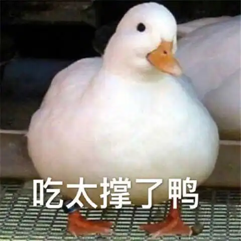 各个表情包的意思对鸭