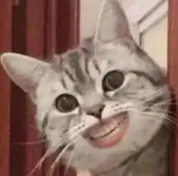  可爱猫咪的表情包我的悲伤大概有这么大