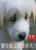  你的良心出了点问题表情包要你爱上我要多久表情包下载乐游网游戏下载