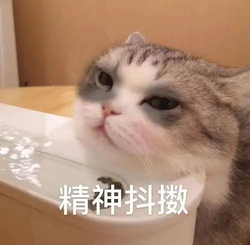 网红猫表情包原罪