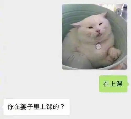  网友分享爸妈收到表情包后的反应,真是同一个世界,同一个爸妈