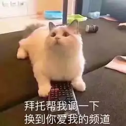  坐公交能领对象