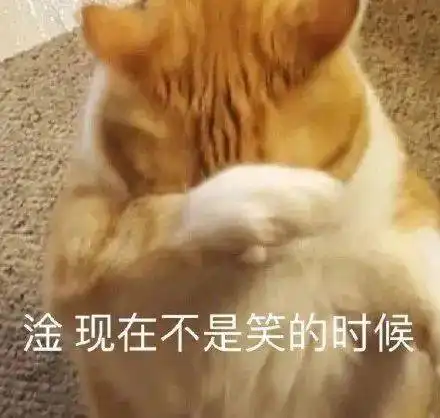  搞笑段子差一点儿是什么意思难道你想当一家之王