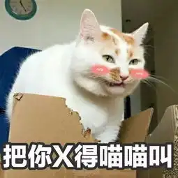  表情包楼板猫表情包