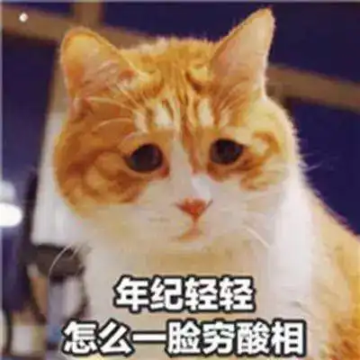  成都人这份双十一最强退款攻略请收好
