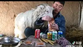  我是配钥匙的,请问你配吗我是算命的,请问你算什么东西