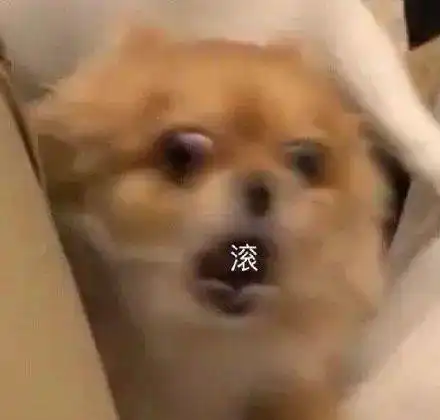  岛国综艺有多变态40岁男顶流和20岁女爱豆被无节操羞辱场面极度辣眼睛...