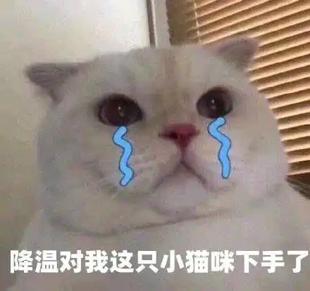  最低22霸王级寒潮8级大风小中大暴雪全齐了,最冷跨年夜