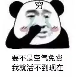  这是年轻人对爸妈说过最多次的谎