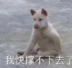 霸总表情包沙雕