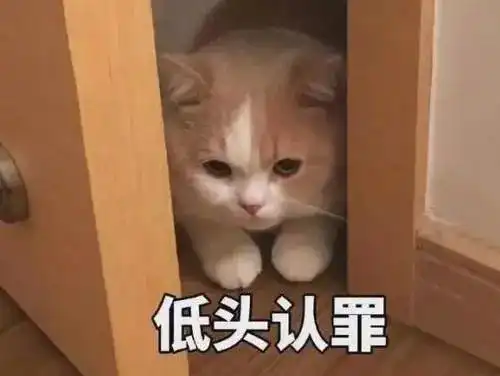 武器研究所积木家族又添猛将飞机中的战斗鸡