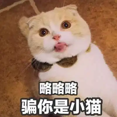  青丘帝姬东华帝君