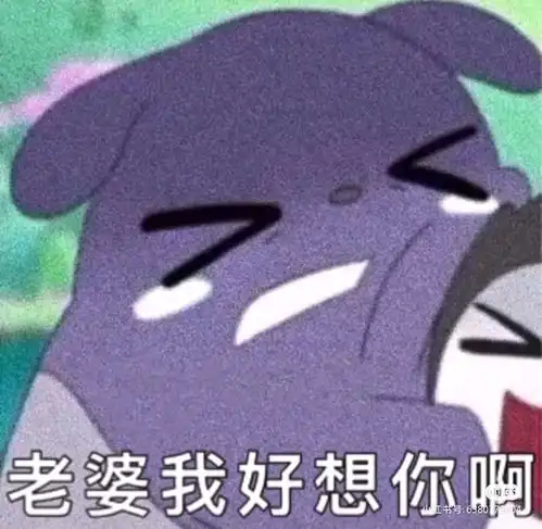  第一期男友必看丨男朋友必修表情包