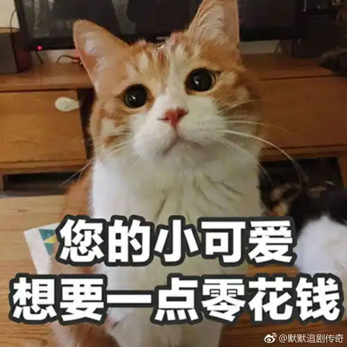  看演唱会吗先来这看看吧演唱会不完全攻略第一弹