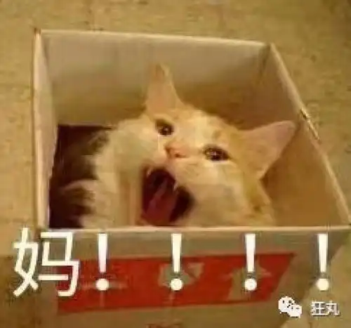  三秒叠衣服的神器,用四块纸板就能做出来了丨每日教程