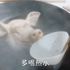  多喝热水表情包合集