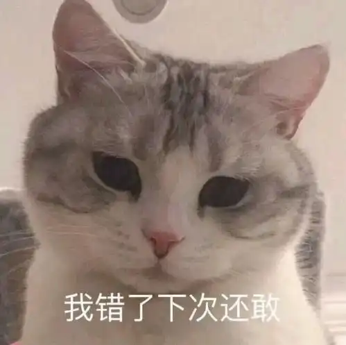  逗你哈哈哈哈哈哈大笑沙雕又搞怪的文案
